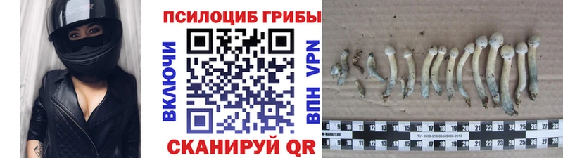 Псилоцибиновые грибы ЛСД  цена наркотик  гидра   Харабали 
